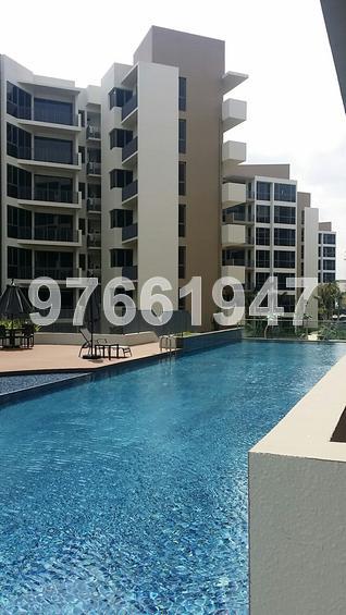 Palm Isles (D17), Condominium #68132852